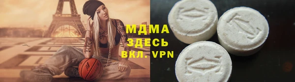 шишки Белокуриха